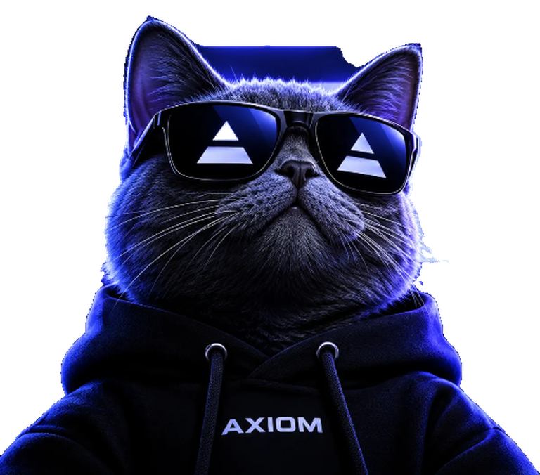 Axiom CAT portrait: grey cat in mirrored sunglasses and a navy Axiom hoodie